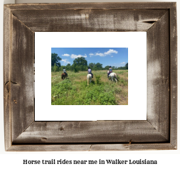 horse trail rides near me in Walker, Louisiana